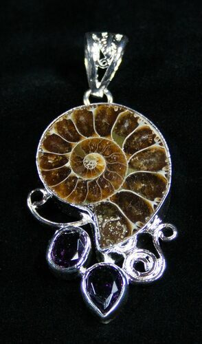 Cut And Polished Ammonite Pendant #1859
